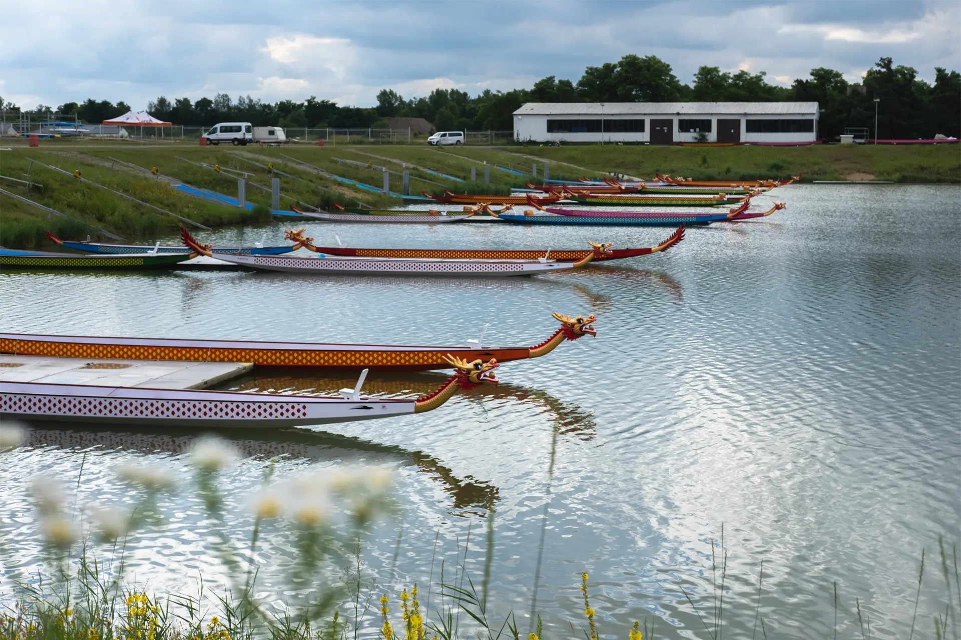 dragon boats