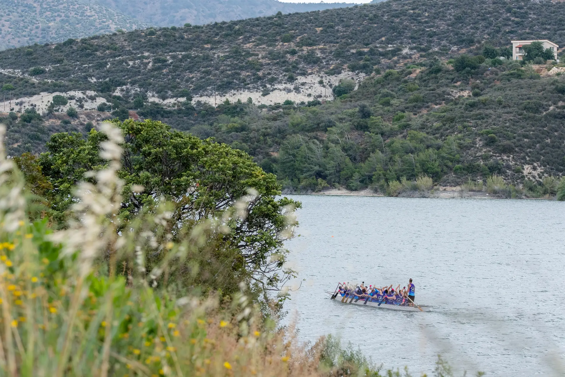 dragon boat cyprus sharks limassol team paddling