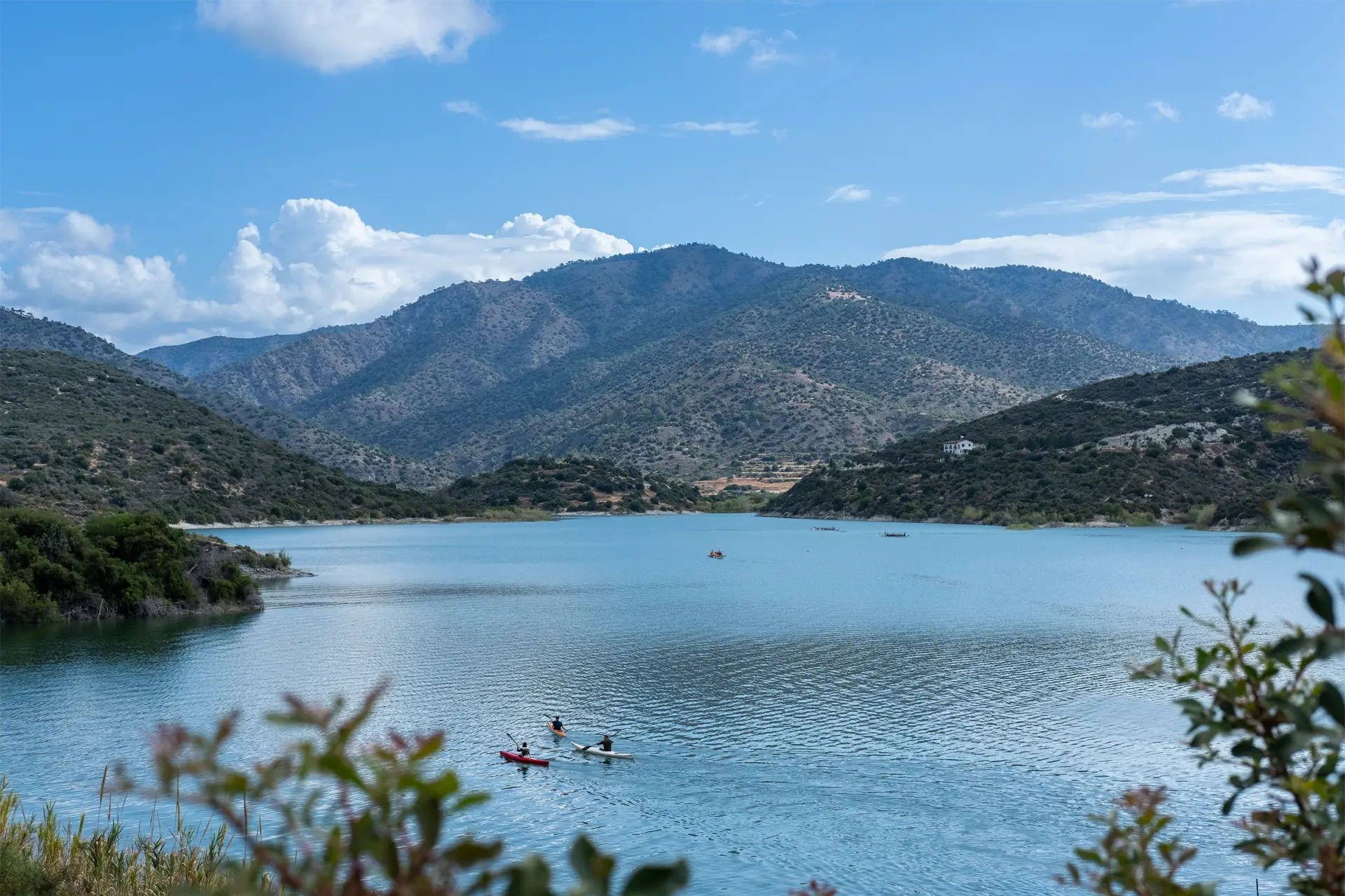 dragon boat cyprus sharks limassol germasogeia dam